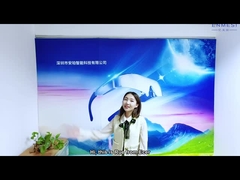 شرکت فناوری اطلاعات شنژن آنپو، با مسئولیت محدود (عینک‌های هوشمند--ENMESI)